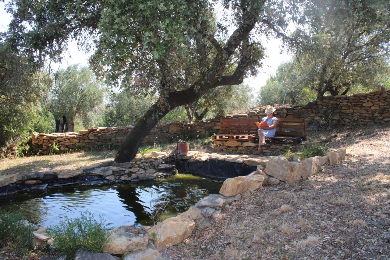 Casa Dos Terranhos Βίλα Tomar Εξωτερικό φωτογραφία