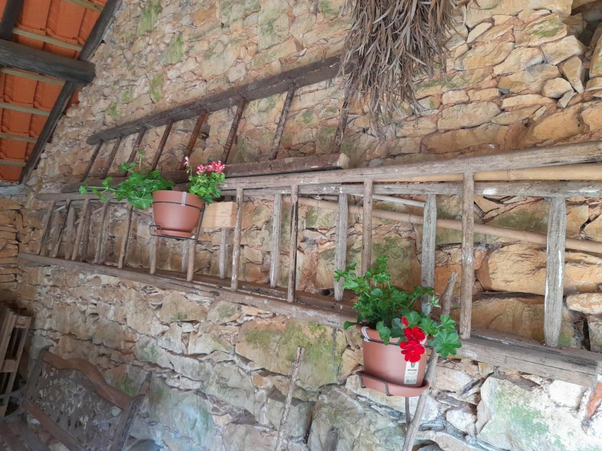 Casa Dos Terranhos Βίλα Tomar Εξωτερικό φωτογραφία