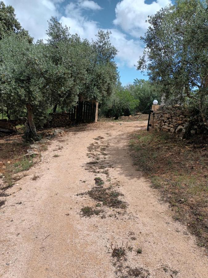 Casa Dos Terranhos Βίλα Tomar Εξωτερικό φωτογραφία