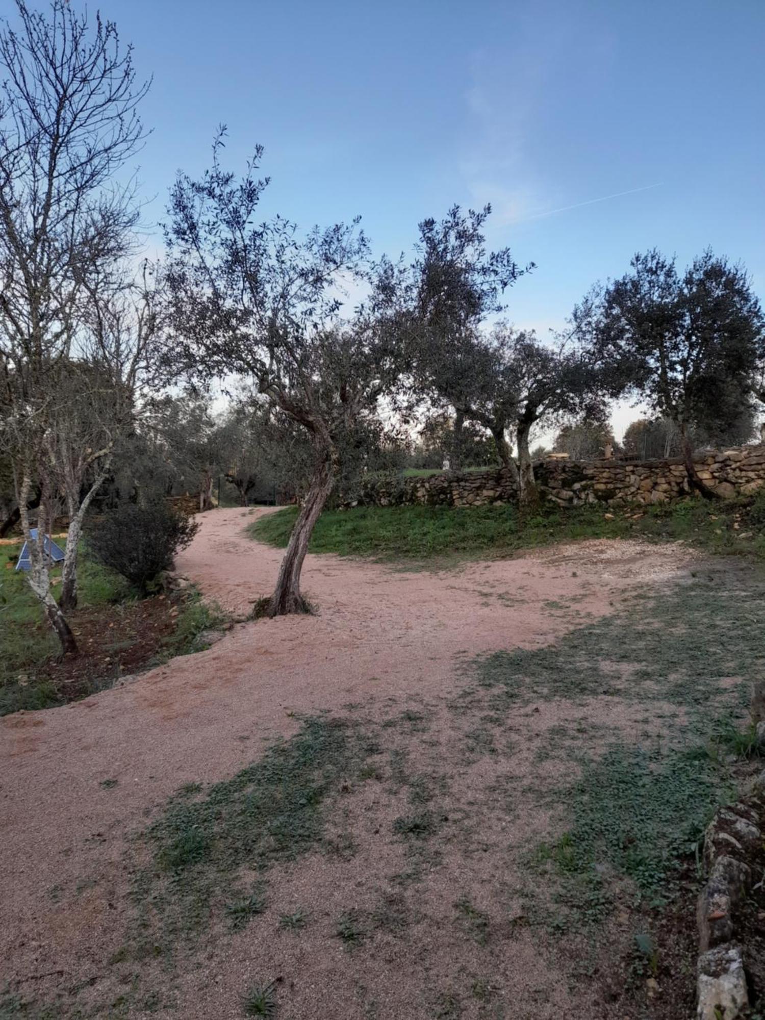 Casa Dos Terranhos Βίλα Tomar Εξωτερικό φωτογραφία